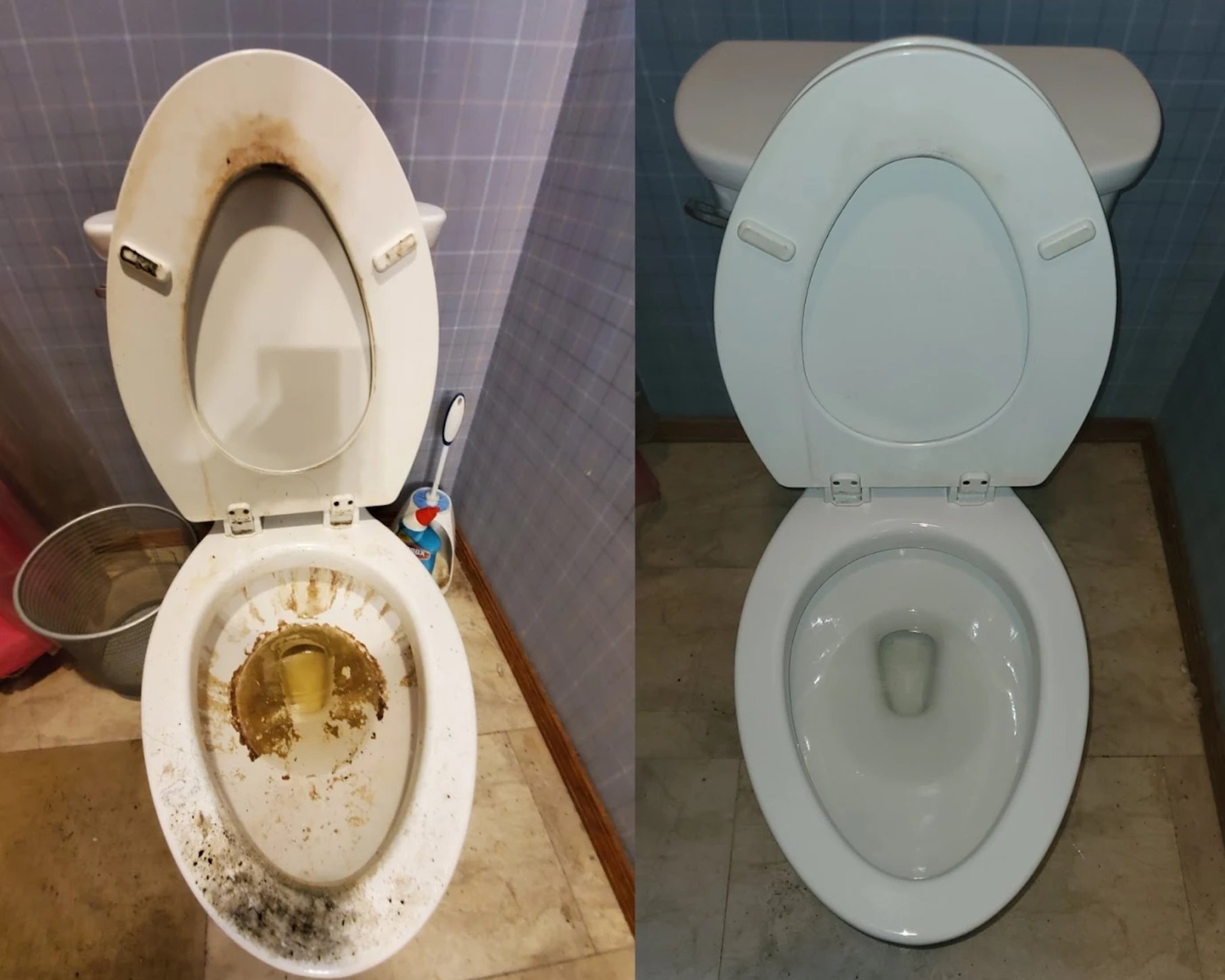 Toilet deep clean before and after with limescale removed